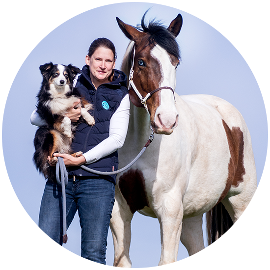 Osteotherapie für Pferde und Hunde