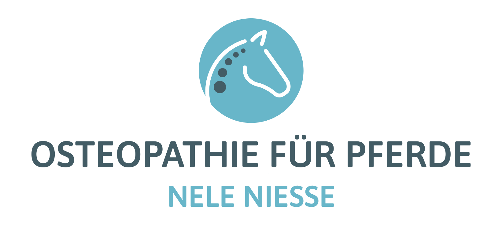 Nele Niesse I Osteopathie für Pferde in Göttingen