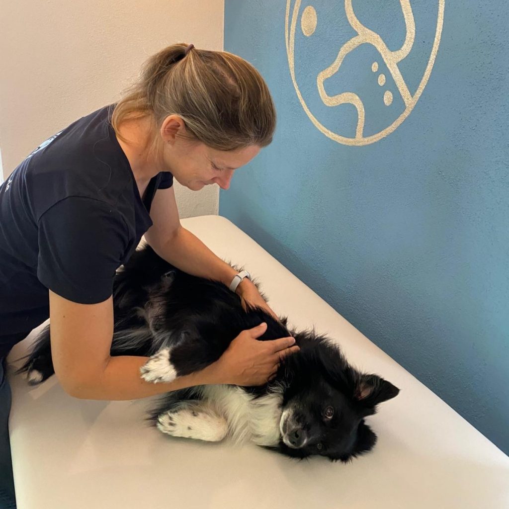 Hundeosteopathie