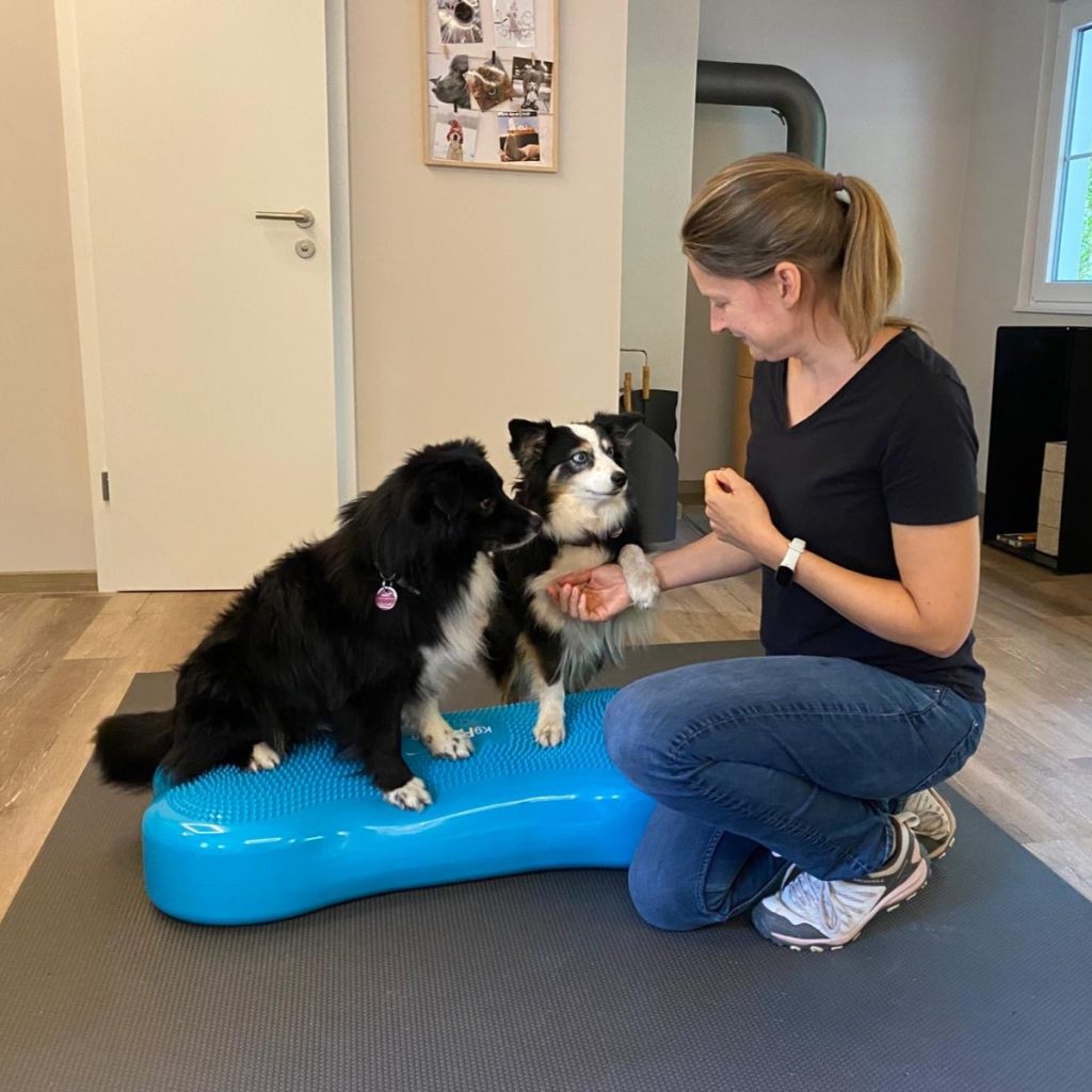 Hundeosteopathie